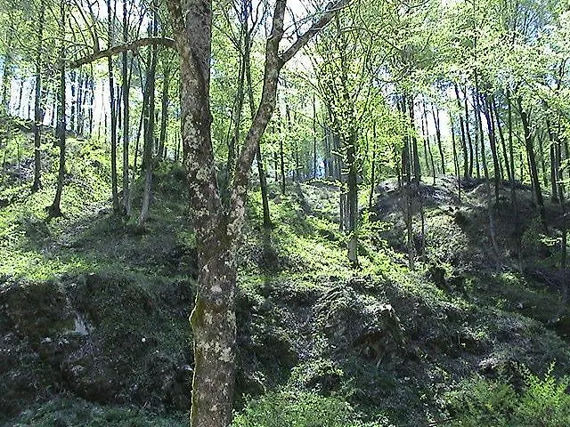 Apartman Mulino Baiar