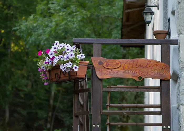 Apartman Mulino Baiar